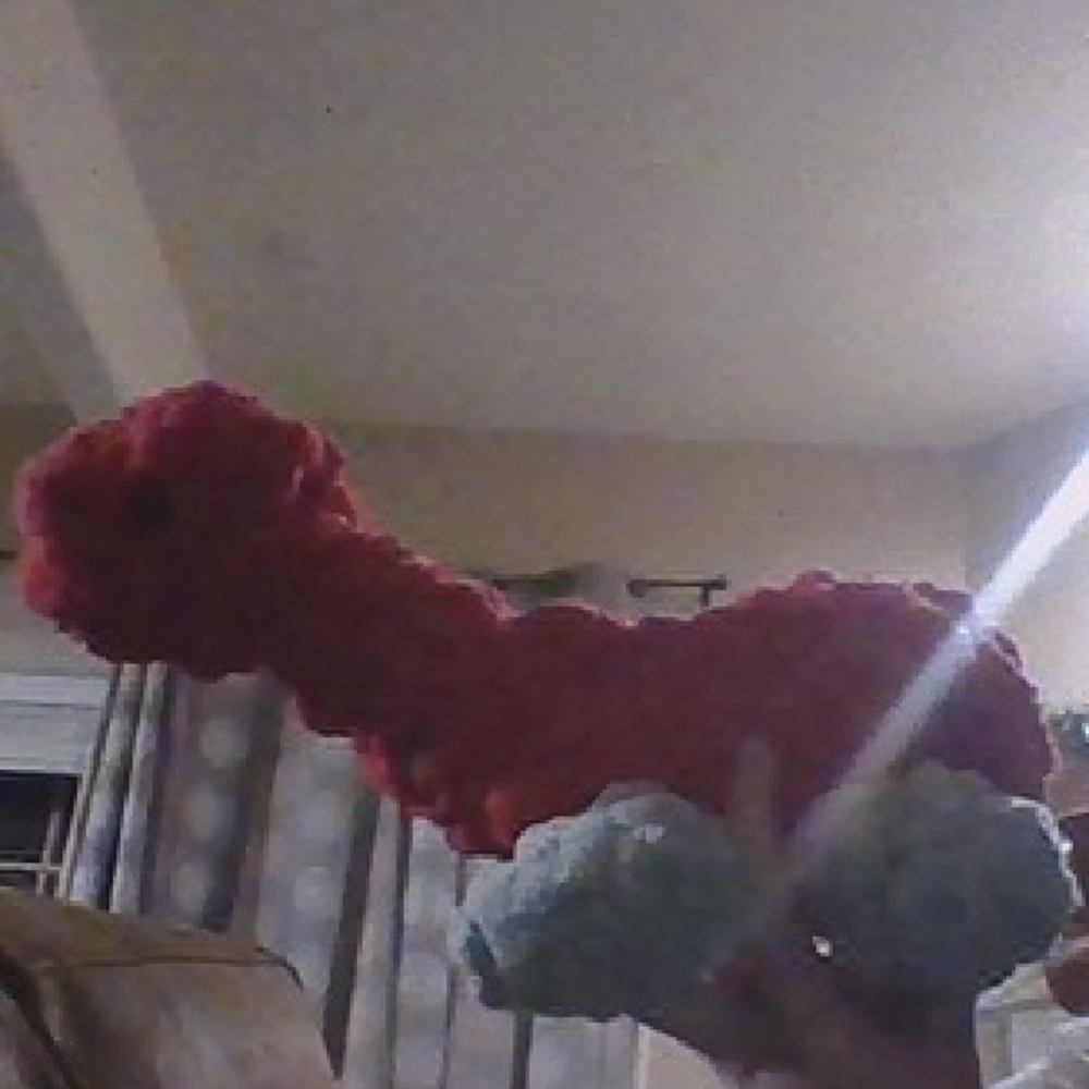 Handmade Red and green Knitted Plush Toy